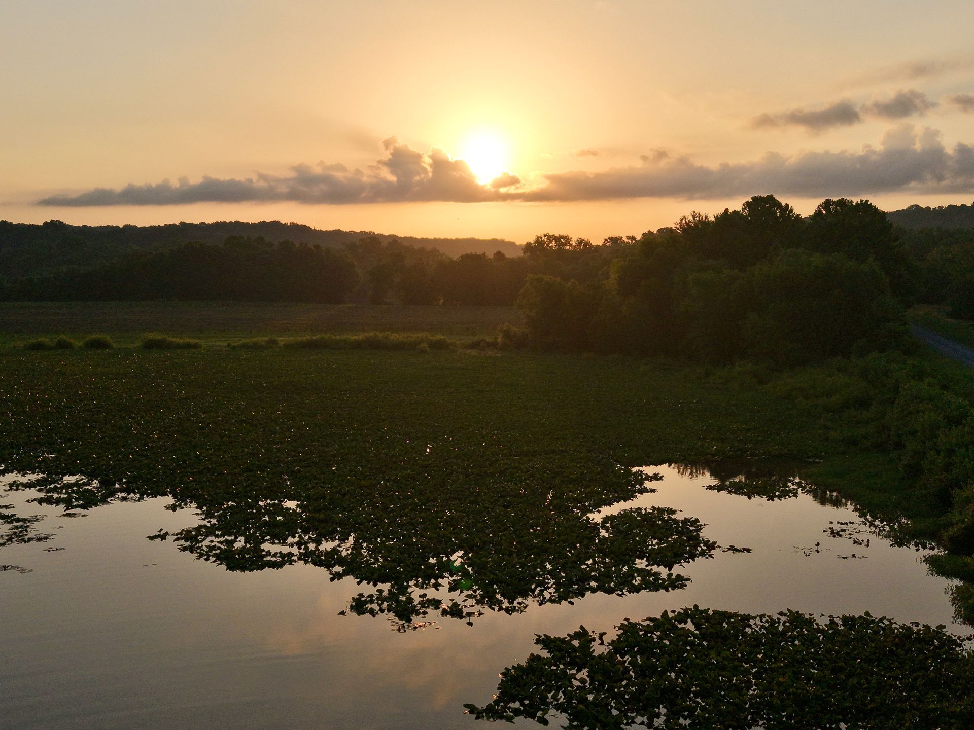 Cross Creek