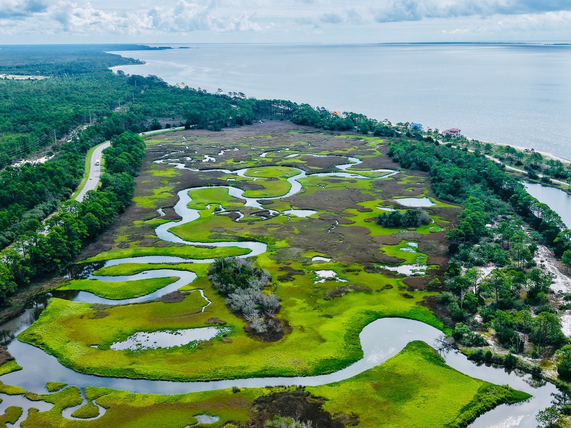 Florida 