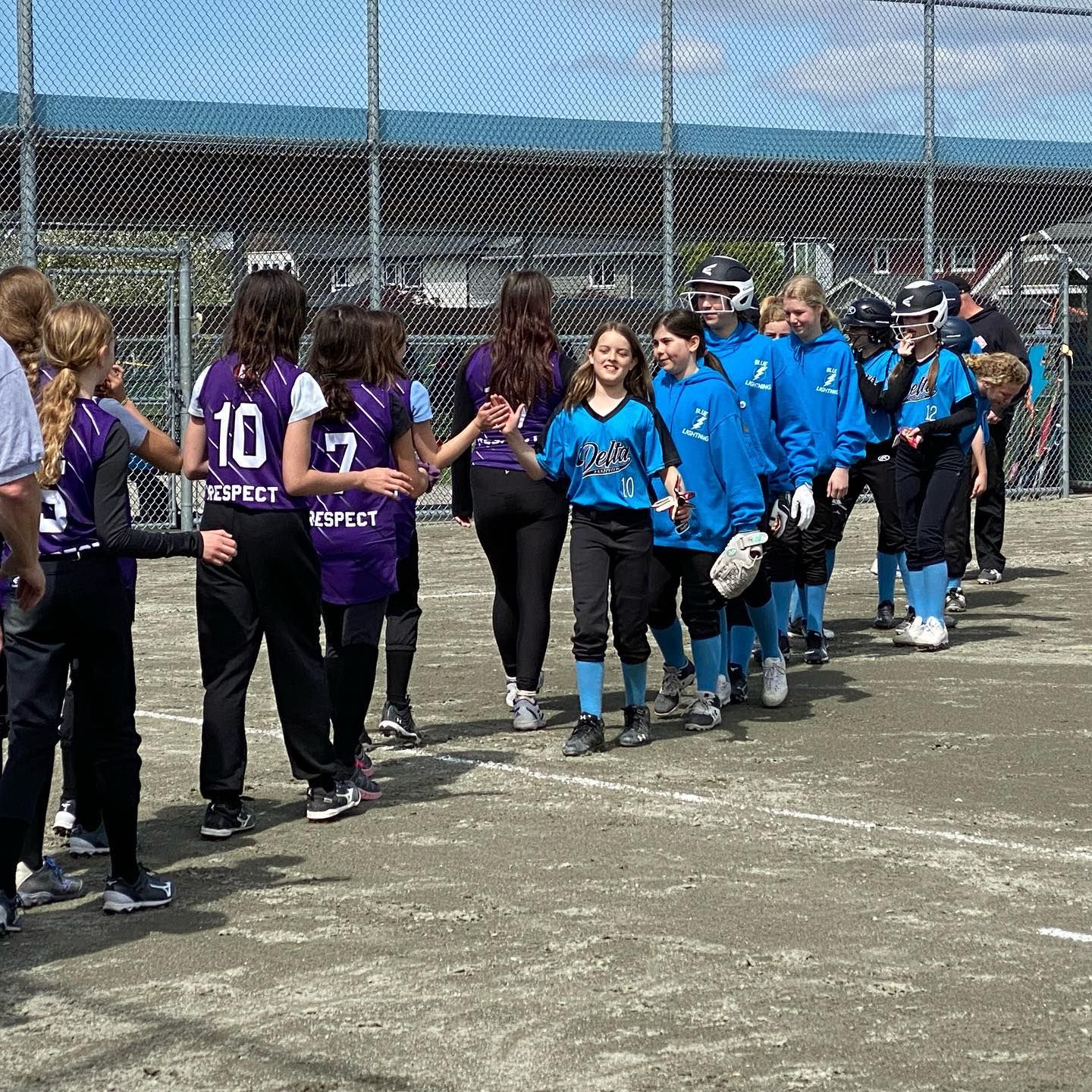 Two lines of softball players in purple and blue uniforms shake hands on a field