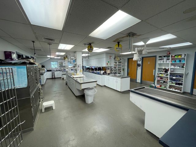 West Chester Animal Hospital West Chester Animal Hospital