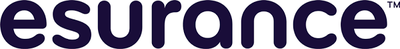 A close up of the word esurance on a white background