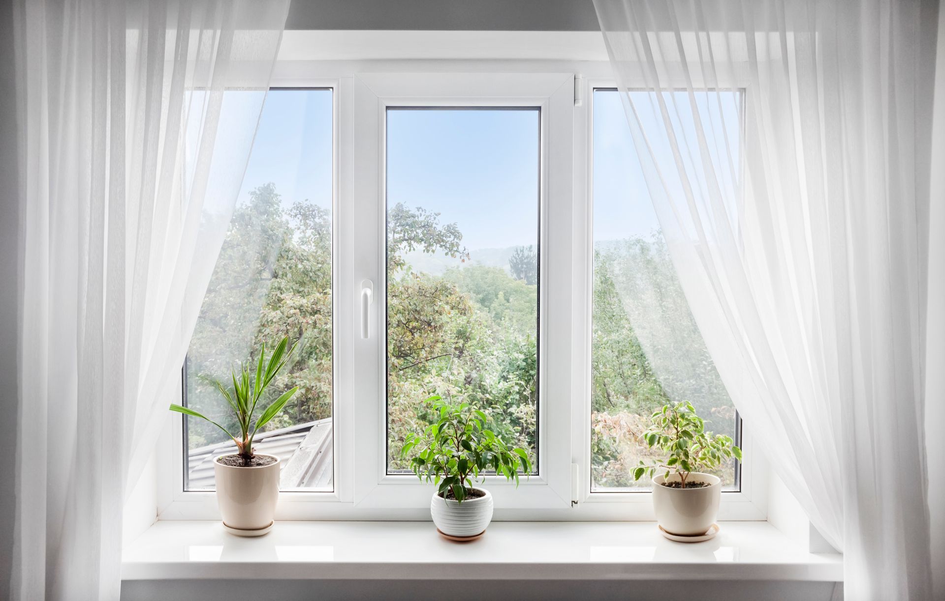Image of potted plants on windowsill with curtains and leafy view beyond. White window with sheer curtains, showcasing a sunny view of green trees; potted plants on windowsill.