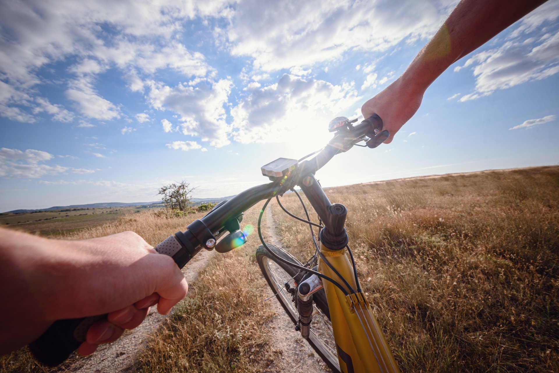 bicycle service shop