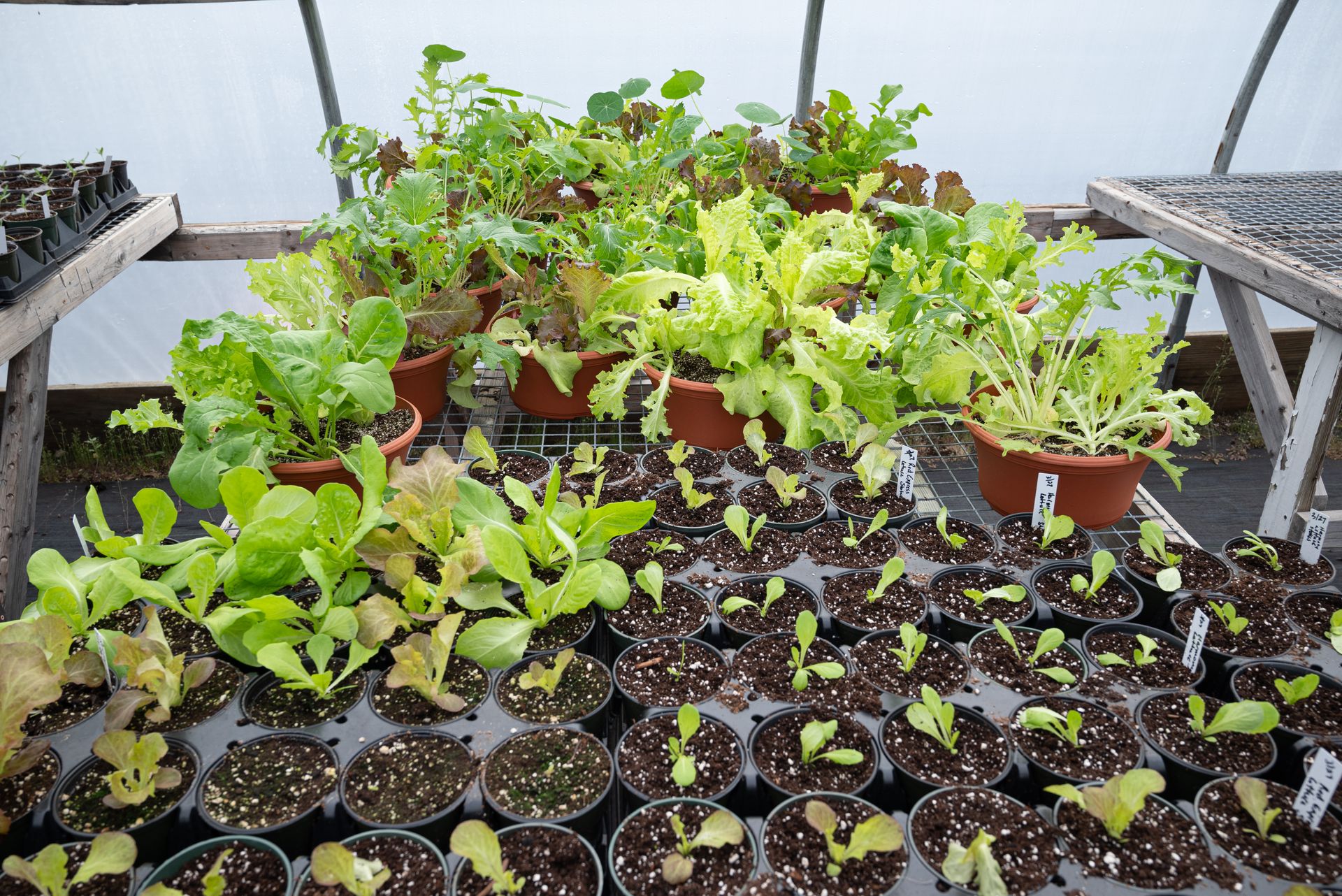 Rustic Ridge Farms