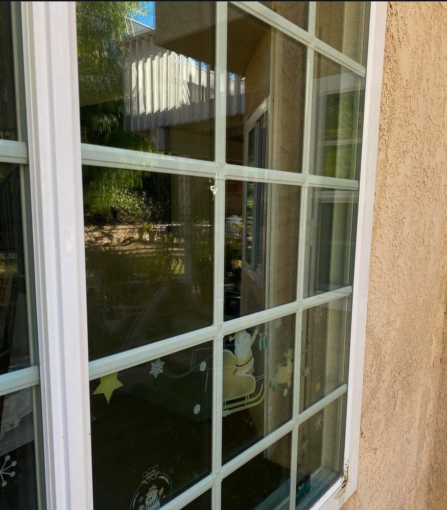 White-paned window reflecting outdoor greenery beside a beige stucco wall