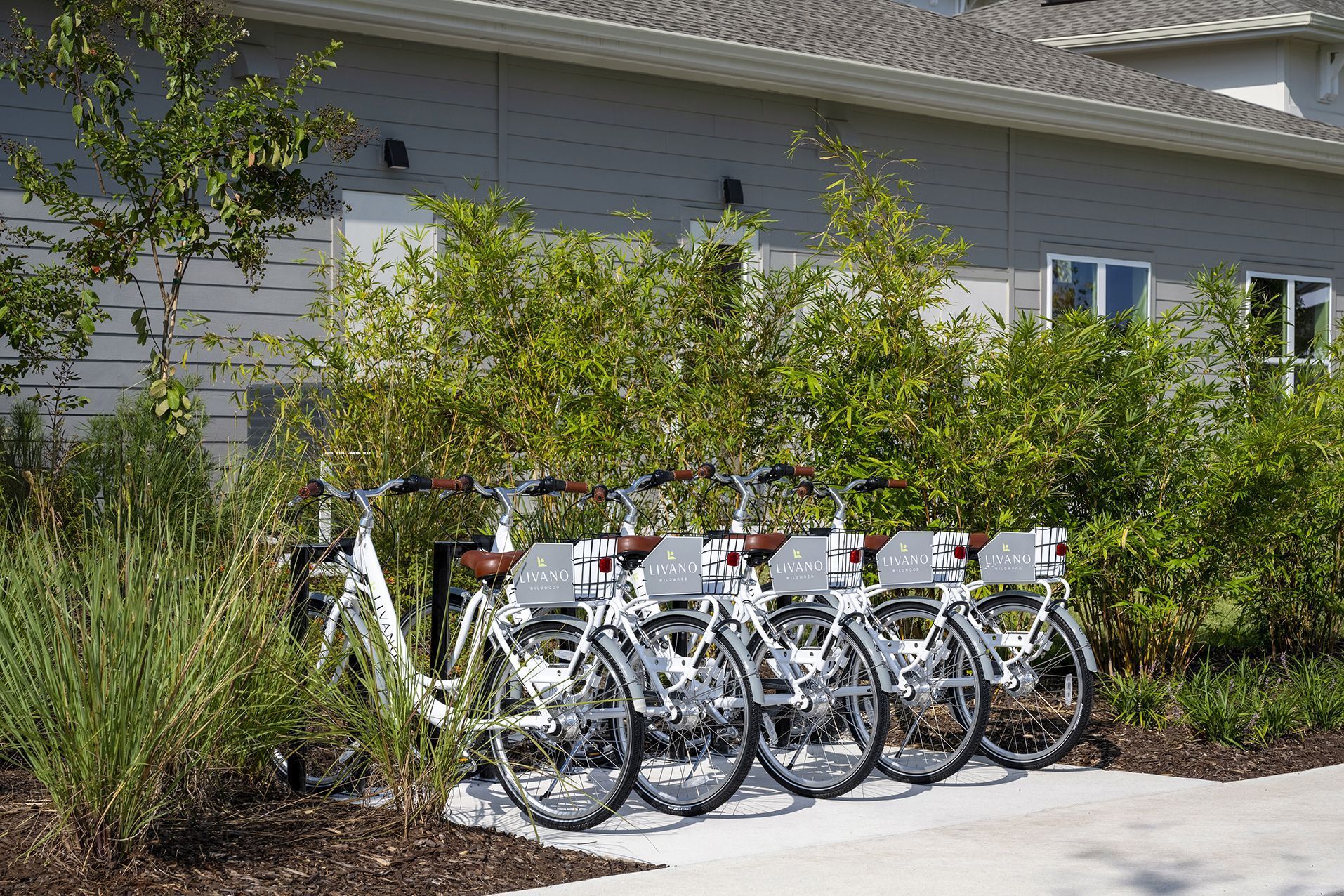 Bikes for residents and their guests at Livano Wildwood.