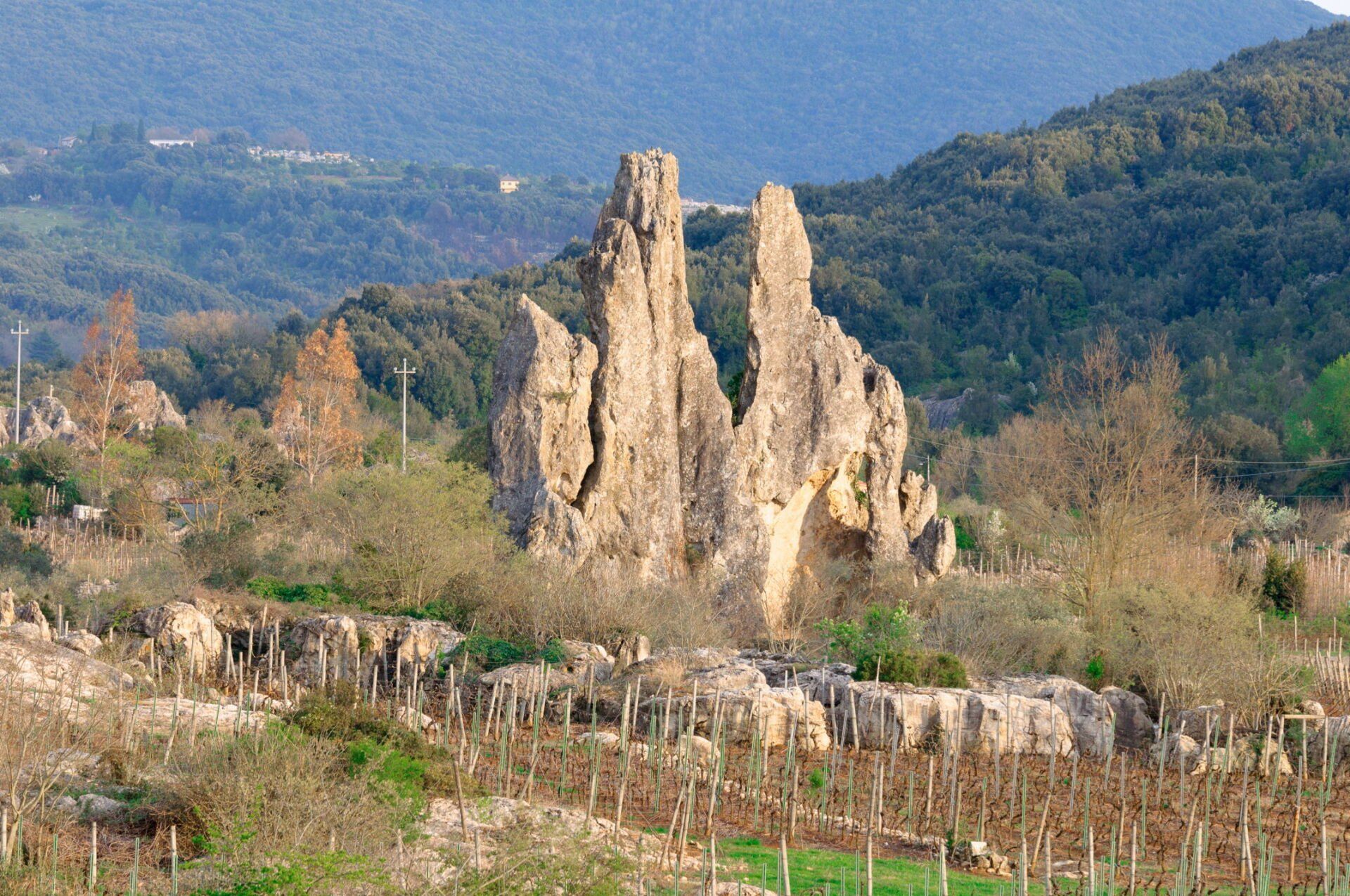 la Cattedrale del Campo Soriano