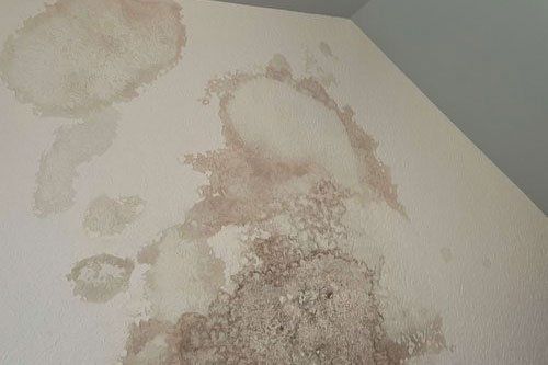 Leaking Roof