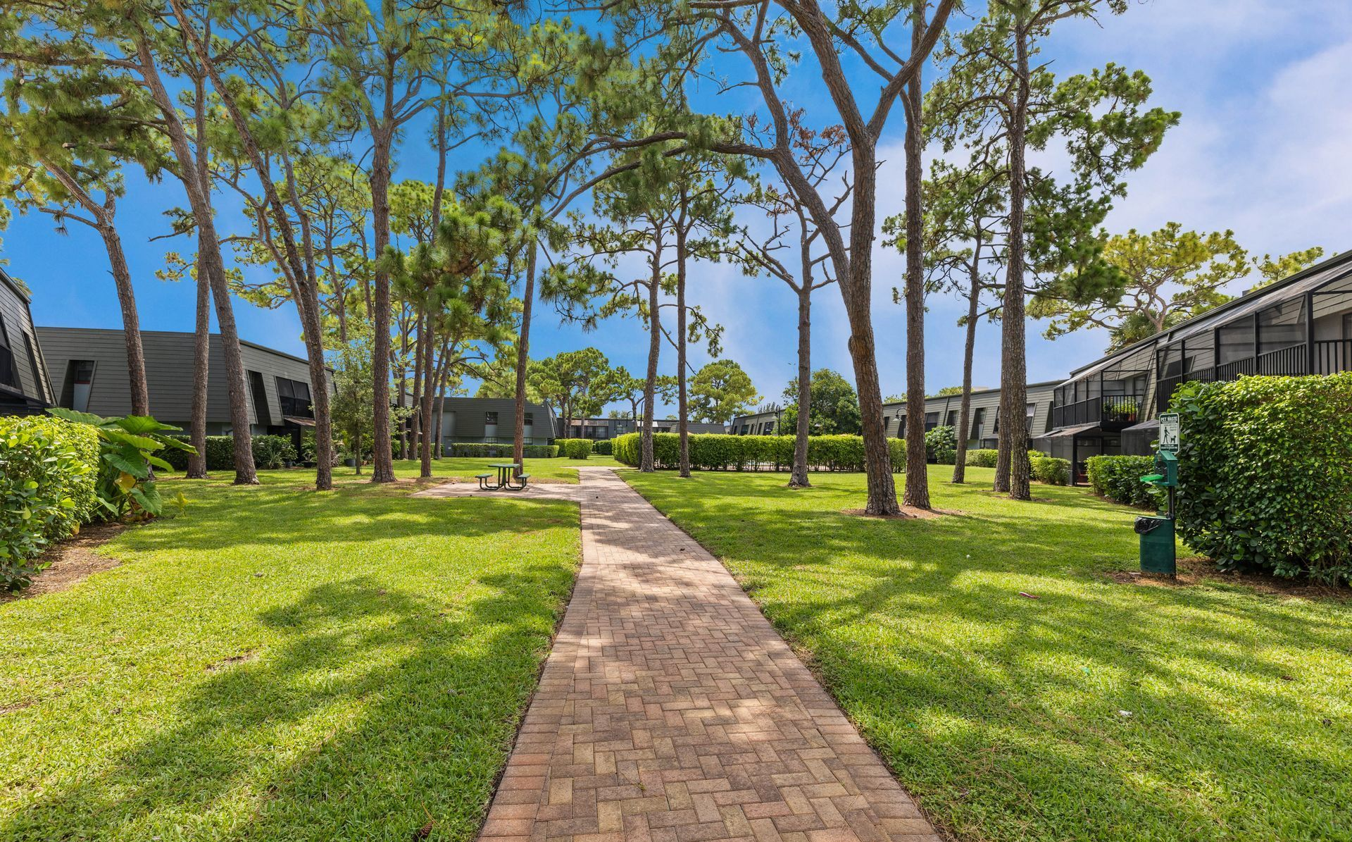Brick walkway through a sunny green courtyard with trees and apartment buildings on both sides.