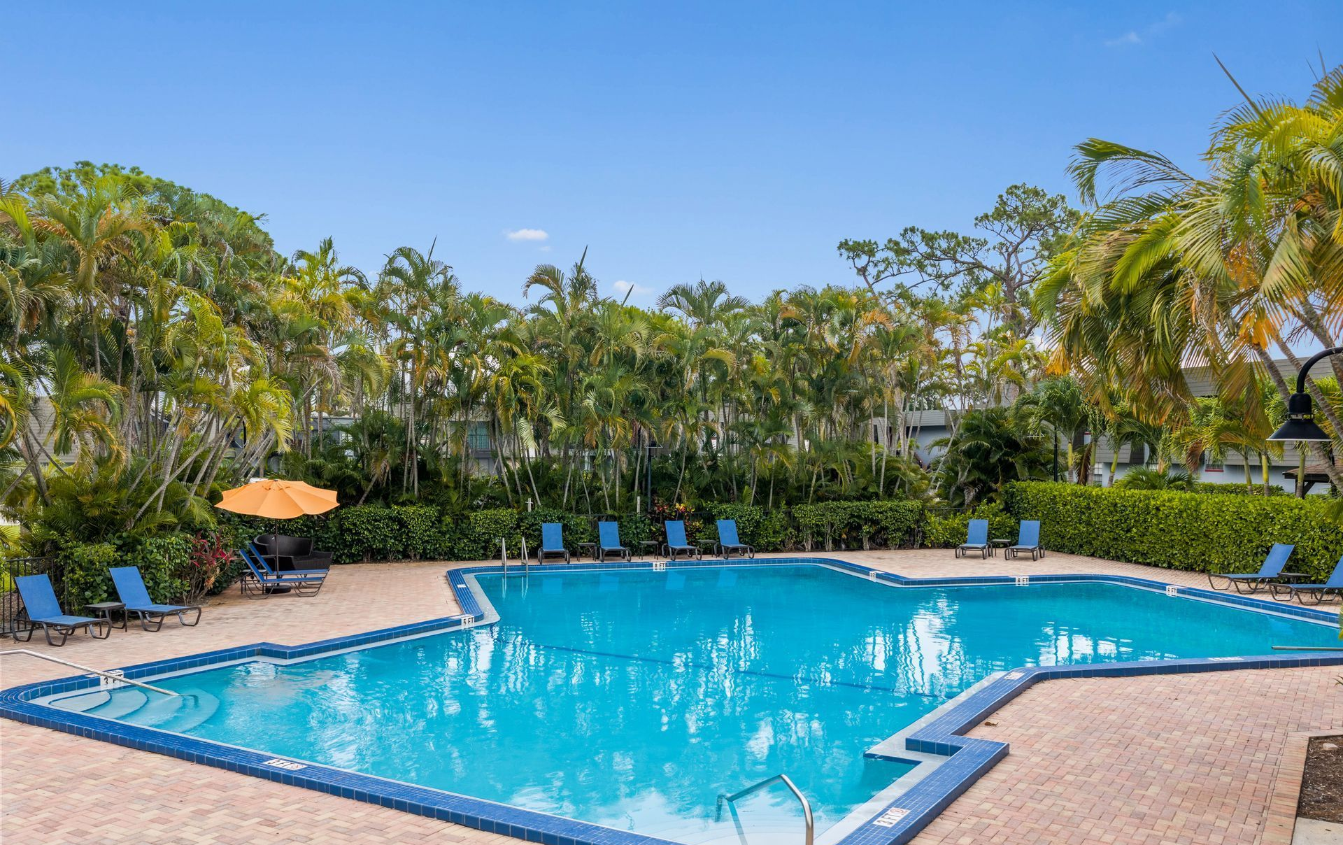 Outdoor resort pool with blue lounge chairs and palm trees under a clear sky.