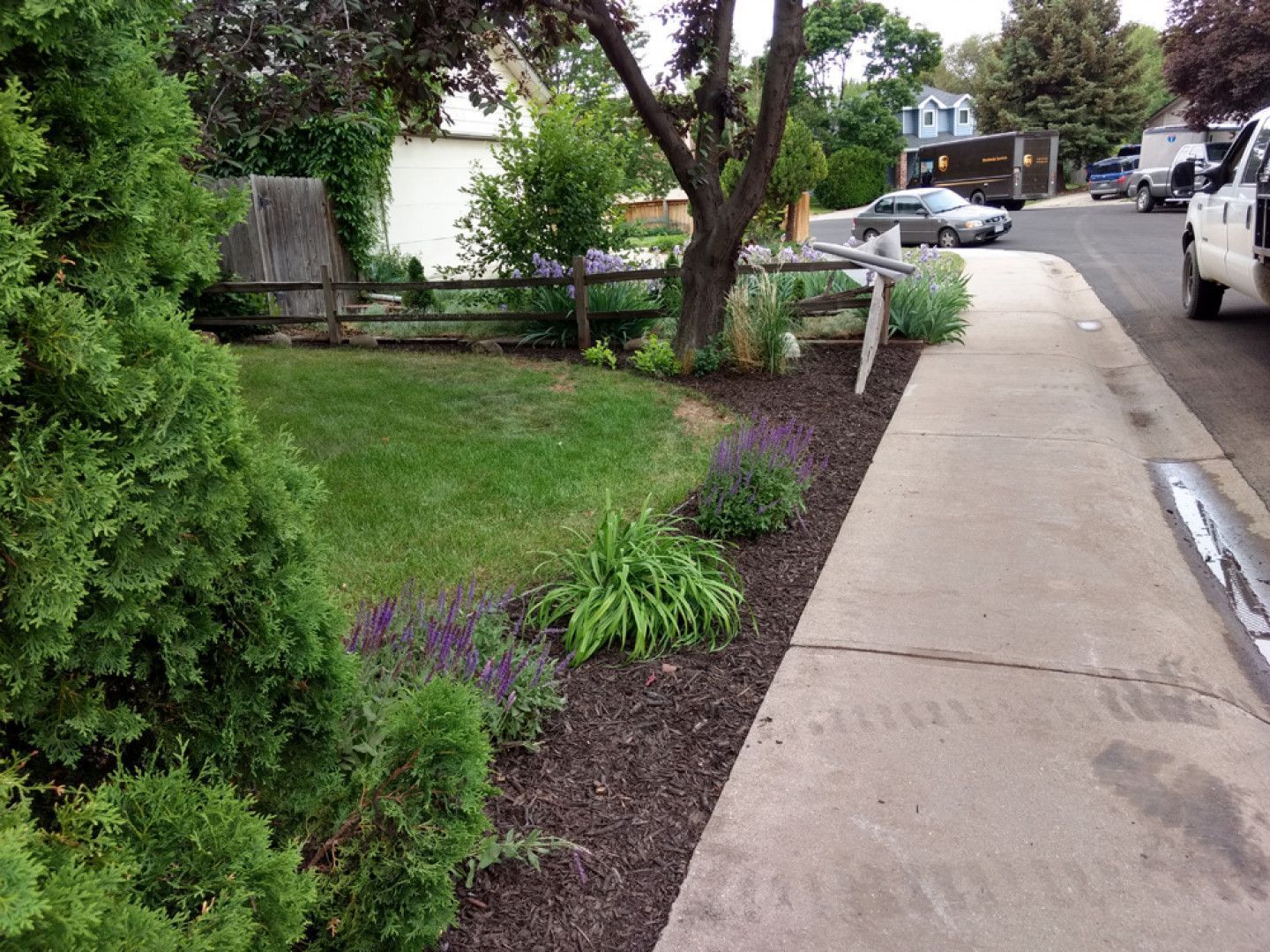 Residential sidewalk beside a landscaped front yard with trees and shrubs on a sloping street