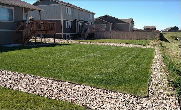 Well-kept green lawn bordered by white rocks beside suburban homes on a sunny day