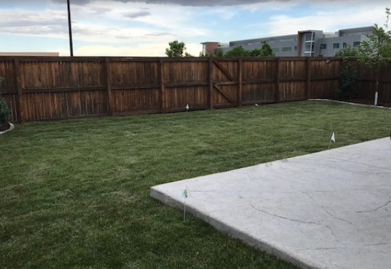 Backyard with green lawn, wooden fence, and a concrete patio slab under a cloudy sky