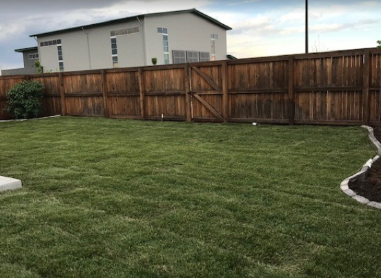 Backyard with green lawn, wooden fence, and a white shed under cloudy sky