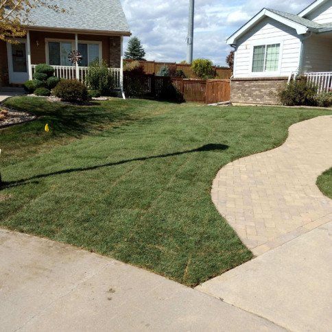 Front yard with green lawn, concrete walkway, and two suburban houses on a sunny day