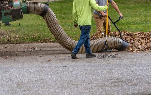 Workers operating a leaf vacuum hose beside a road, collecting fallen leaves in a park area.