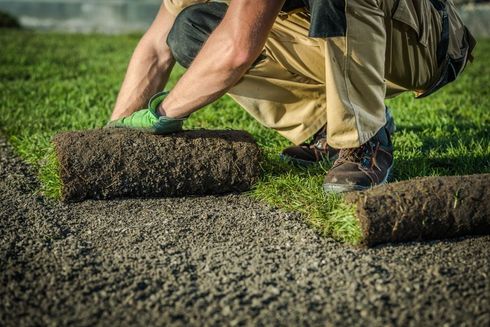 Person rolling turf onto a garden bed with a hand tool outdoors