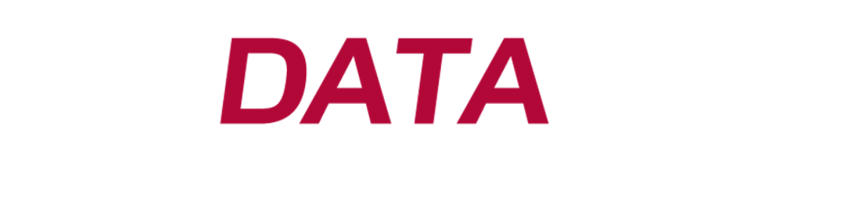 Datalink logo white
