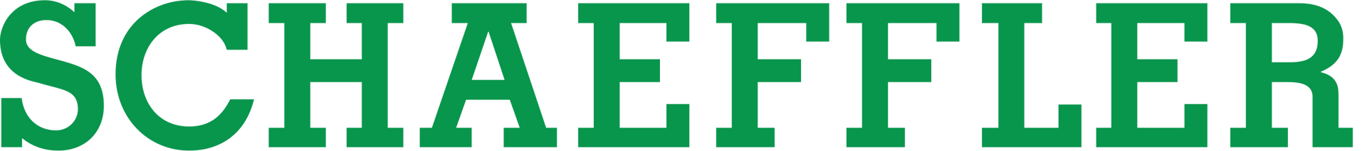 Client Schaeffler