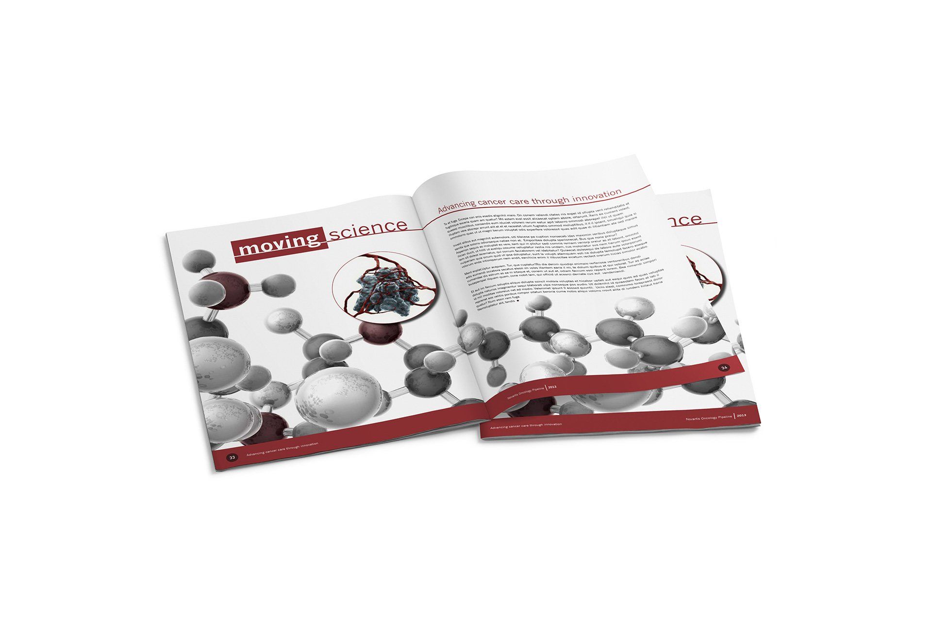 Pharmaceutical Saddlestitch Publication
Client: Novartis