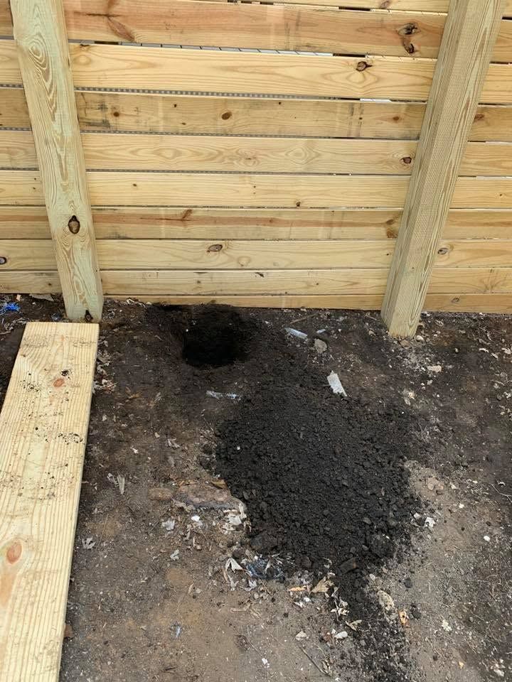 Small black animal near a dark pile of soil inside a wooden fenced enclosure
