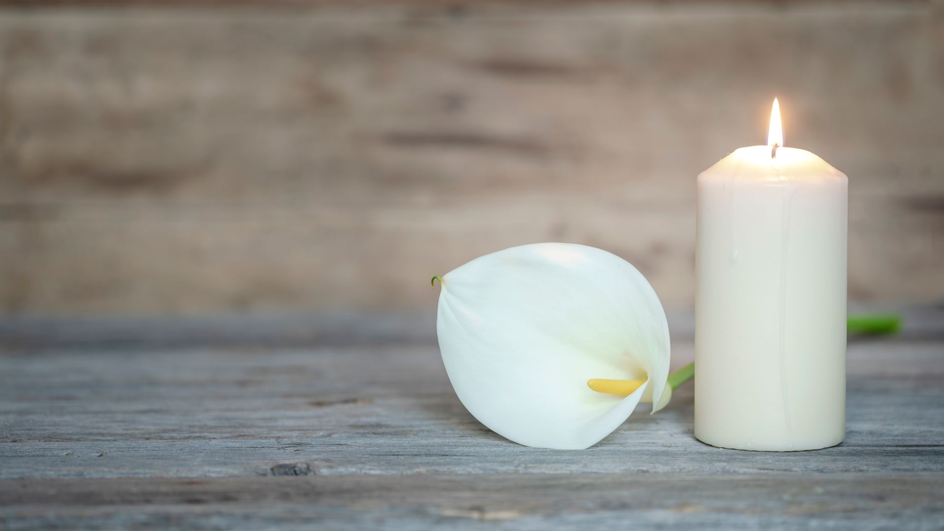 Flower & Candle — Campbelltown, NSW — Macarthur Lady Funerals