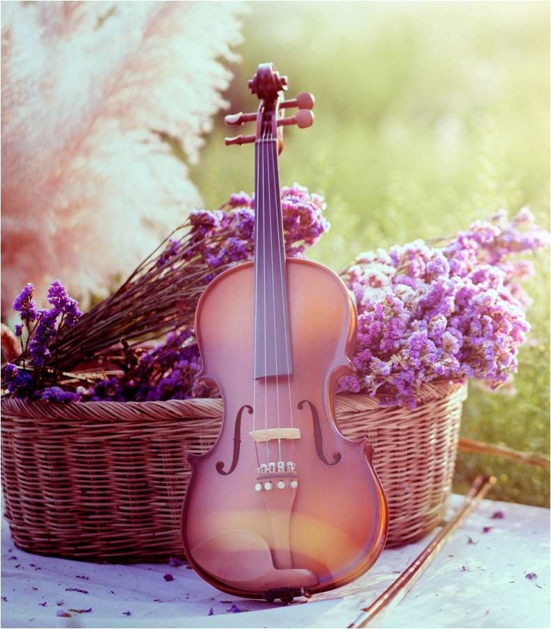 Violin — Campbelltown, NSW — Macarthur Lady Funerals