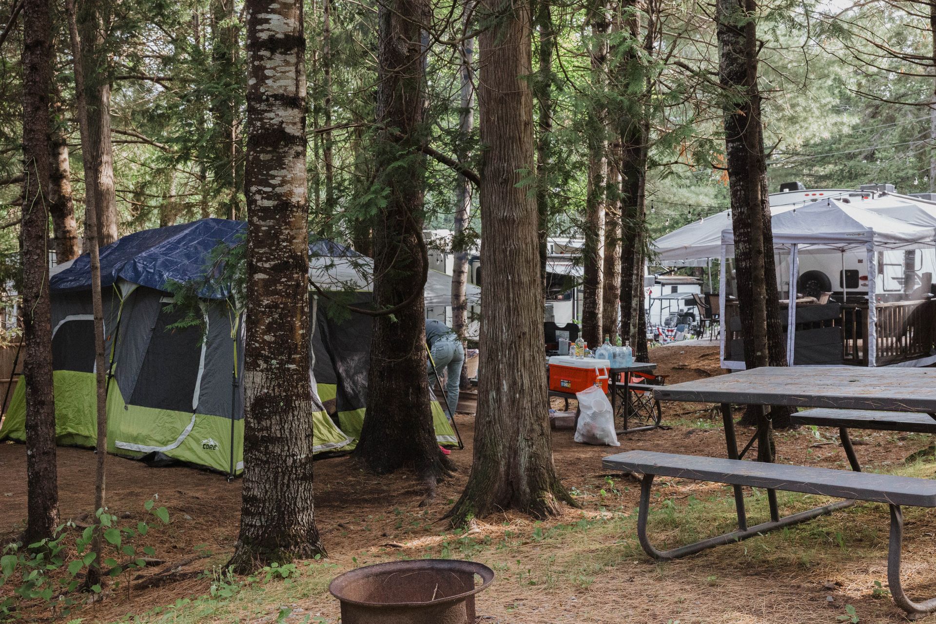 Campsite with green tents and picnic tables among pine trees, with a white canopy shelter nearby