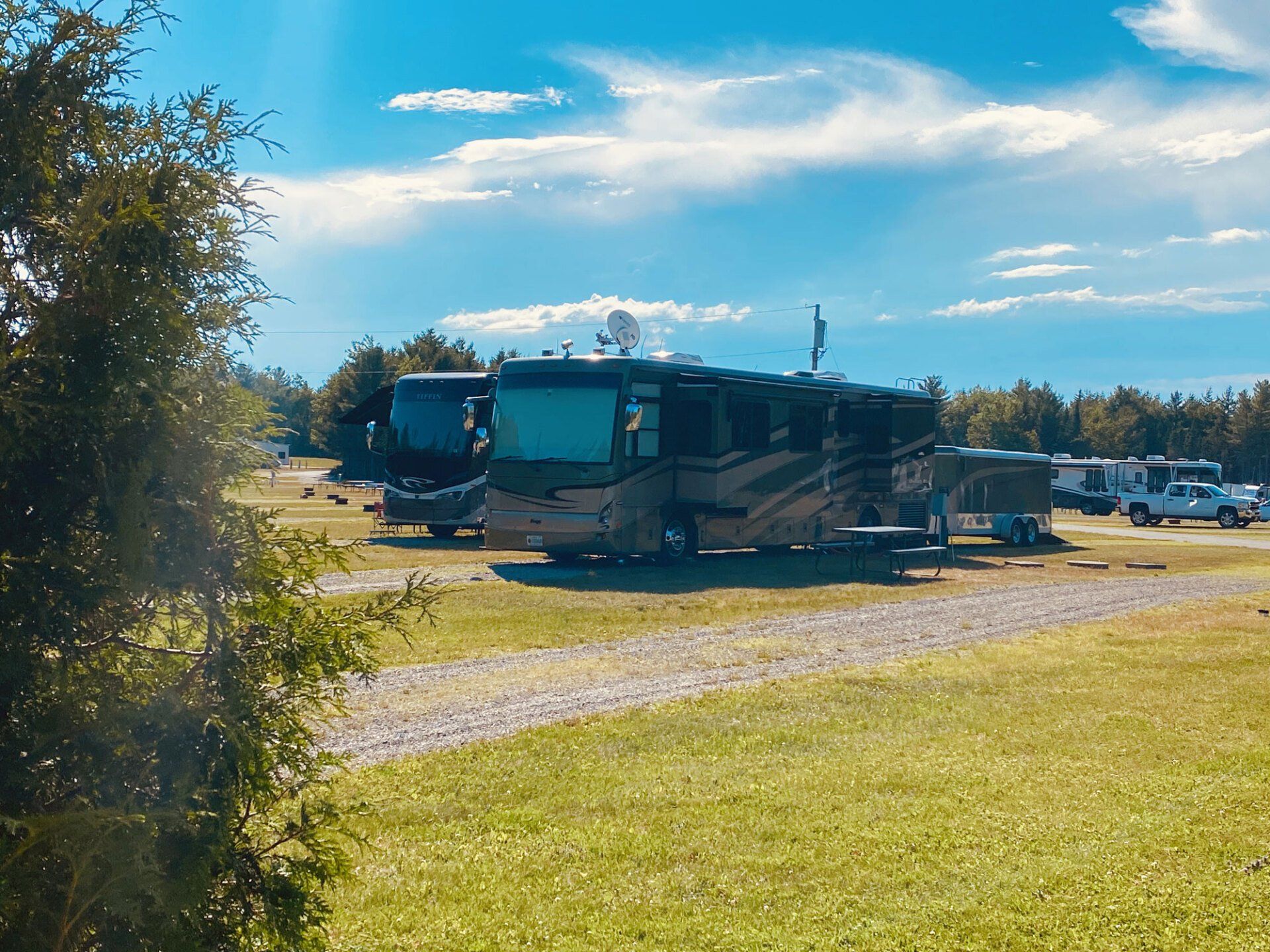 RVs parked on a sunny grassy lot under a blue sky, with trees and other vehicles in the background