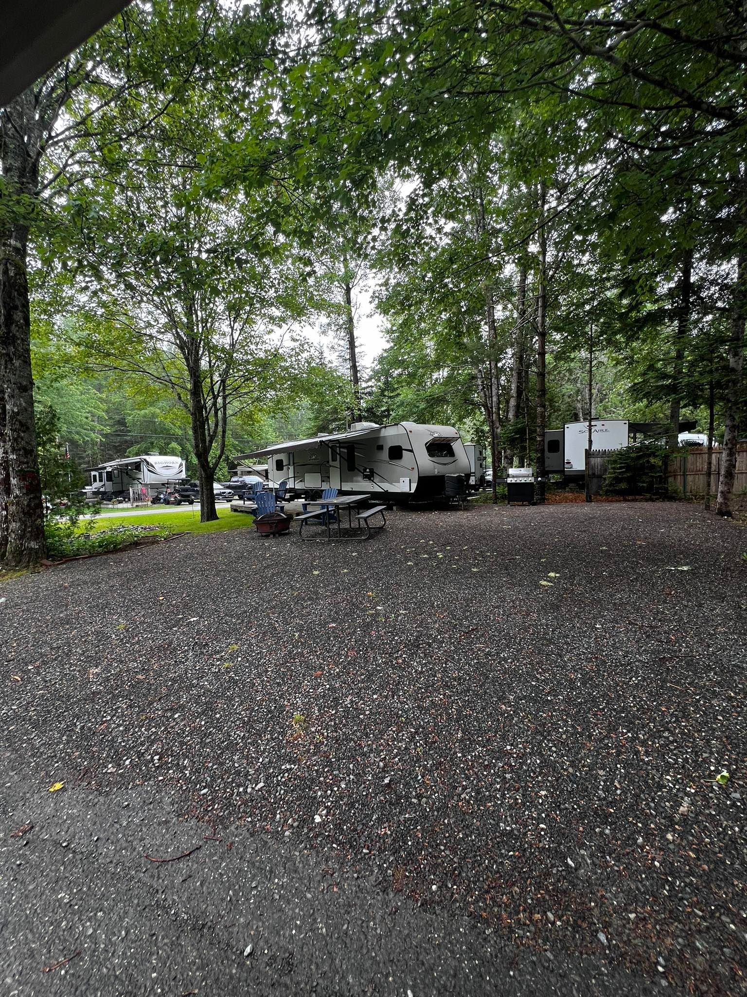 Forest campsite with an RV under leafy trees and a gravel clearing