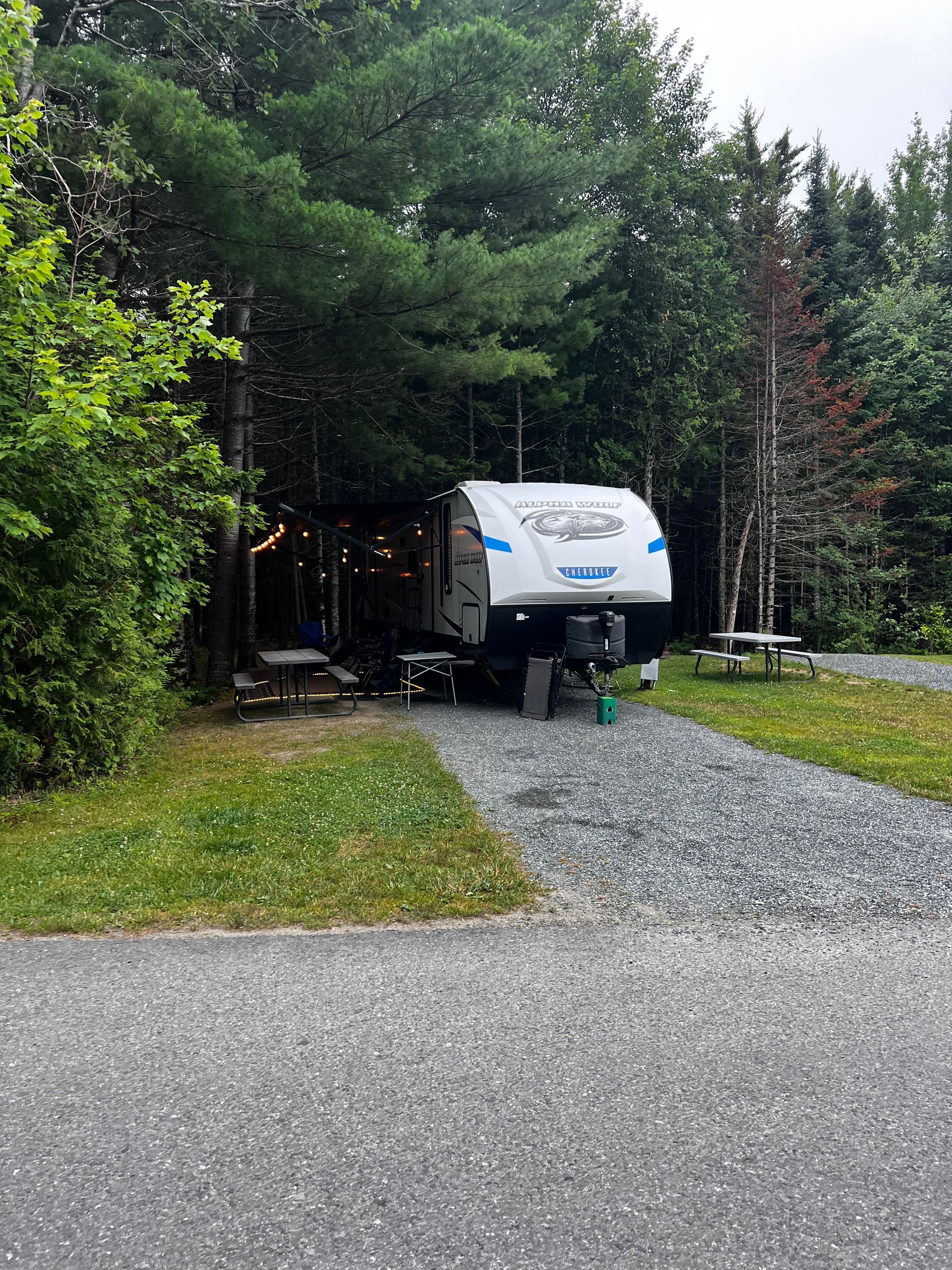 White camper trailer parked on a gravel driveway beside dense green trees and a cabin.