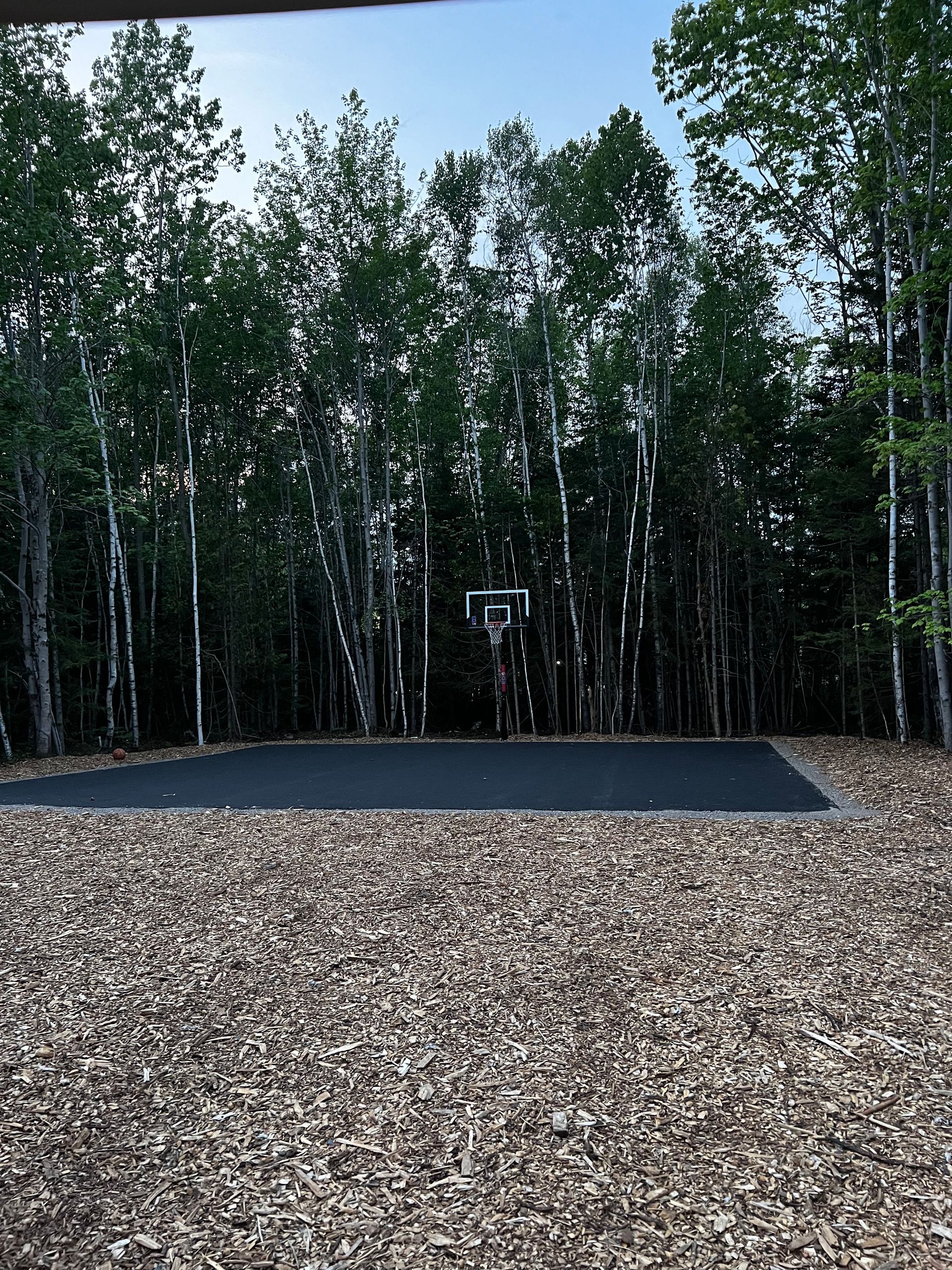 Gravel lot beside a forest of tall birch trees under an overcast sky