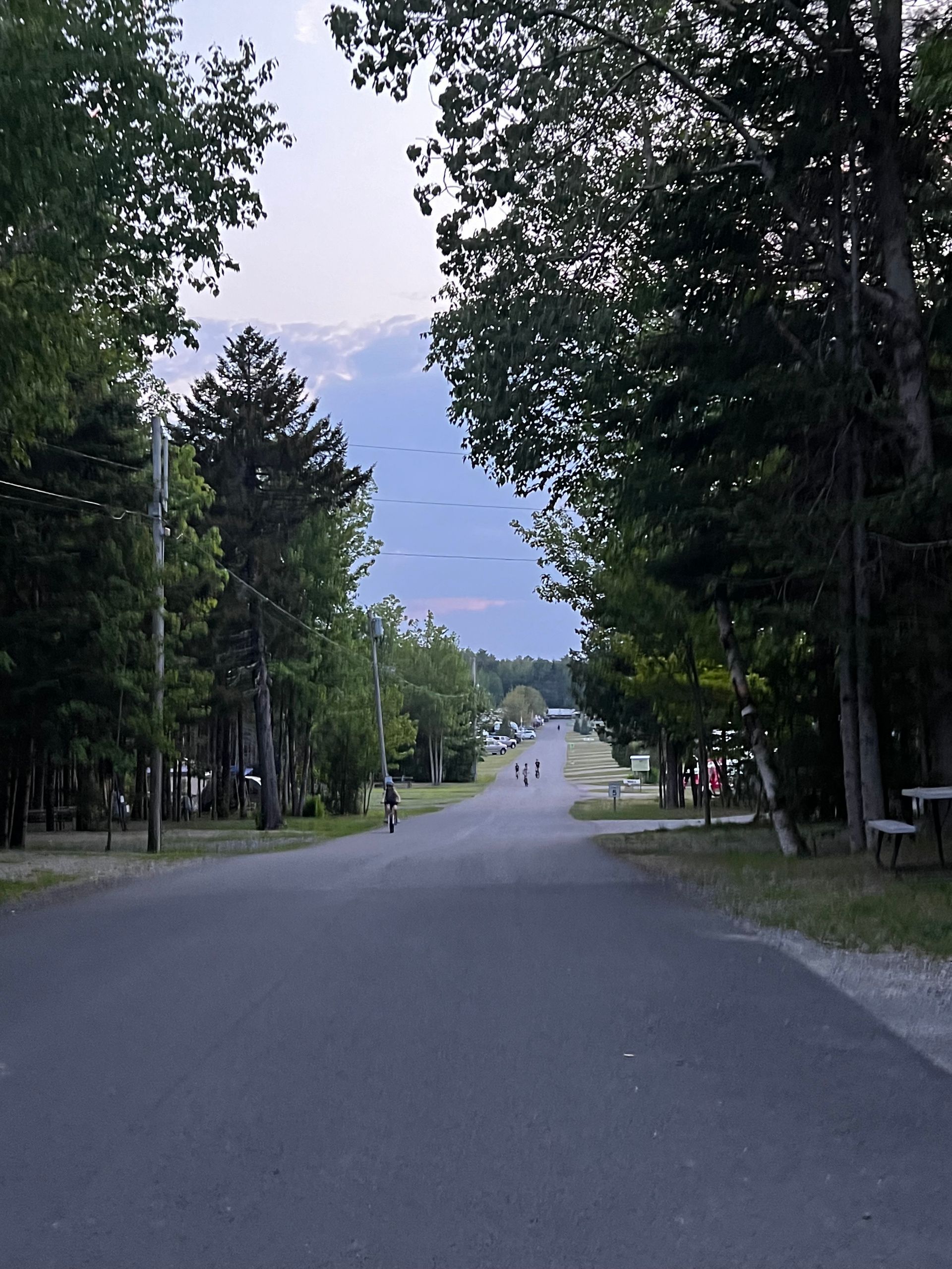 Quiet tree-lined road leading into the distance under a cloudy sky.