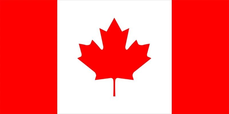 The canadian flag has a red maple leaf on it