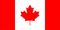 The canadian flag has a red maple leaf on it