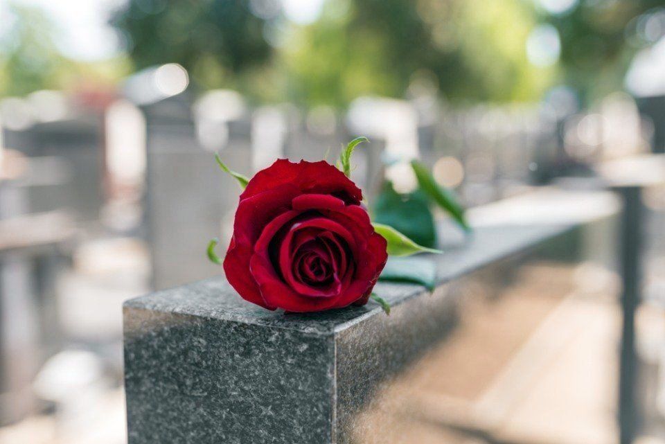 Rosa rossa su lapide