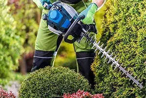 gold-country-power-trimmers-img