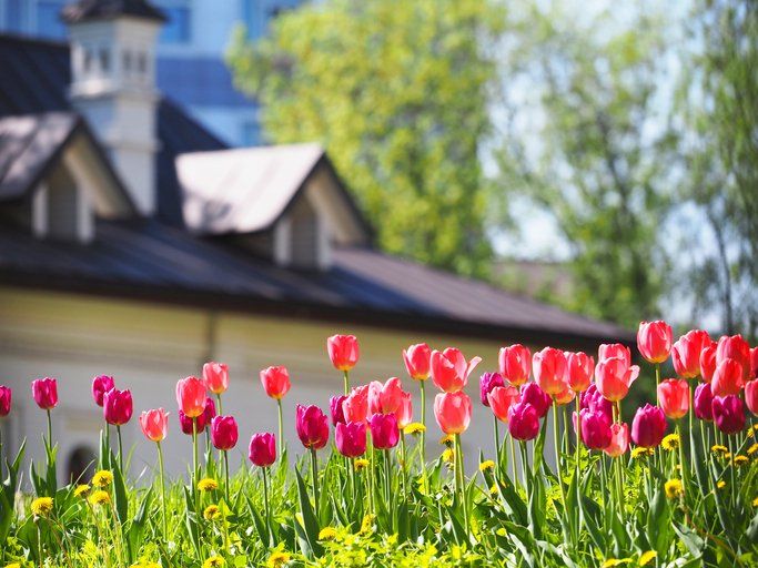 Spring - A Great Time to Replace Your Roof?
