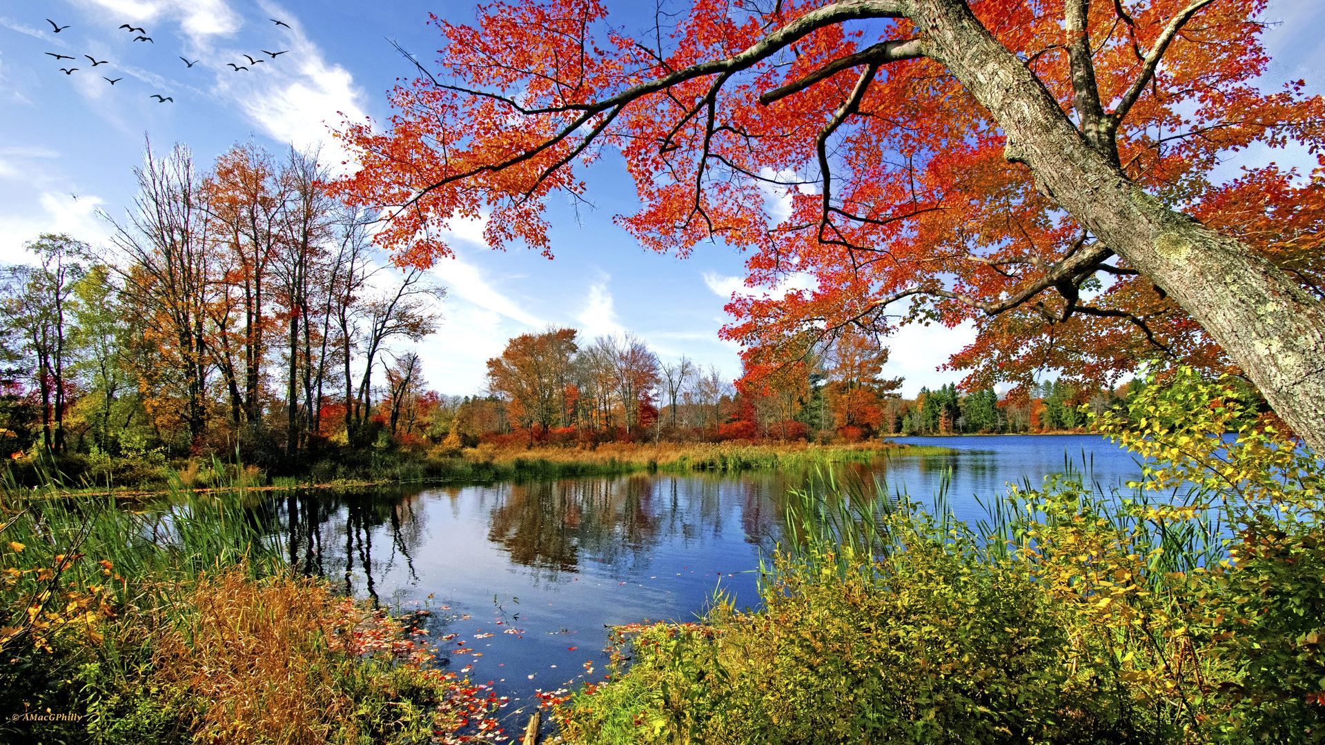 Autumn trees with red and orange leaves reflecting in a calm lake under a bright blue sky.