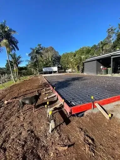 A Dog Is Standing On A Dirt Road In Front Of A House Under Construction — Hinterland Concreting Pty Ltd In Lennox Head, NSW