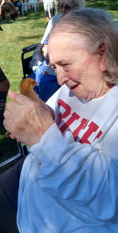An elderly person in a white sweatshirt smiles while holding a small, brown chick outdoors on a sunny day.