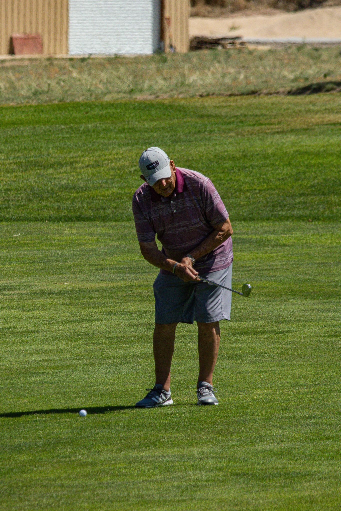 Golfer in striped shirt putting on a green course