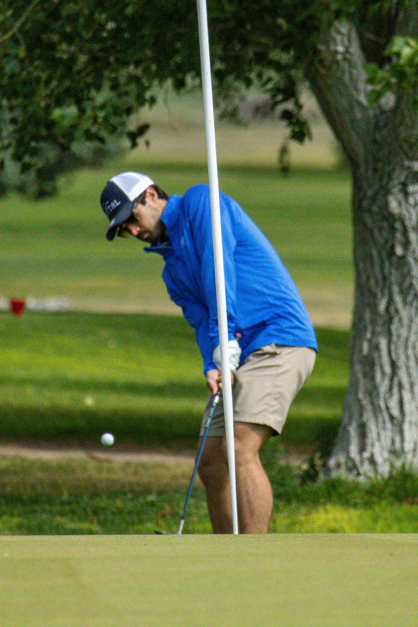 Golfer in blue jacket and tan shorts lining up a putt on a green course