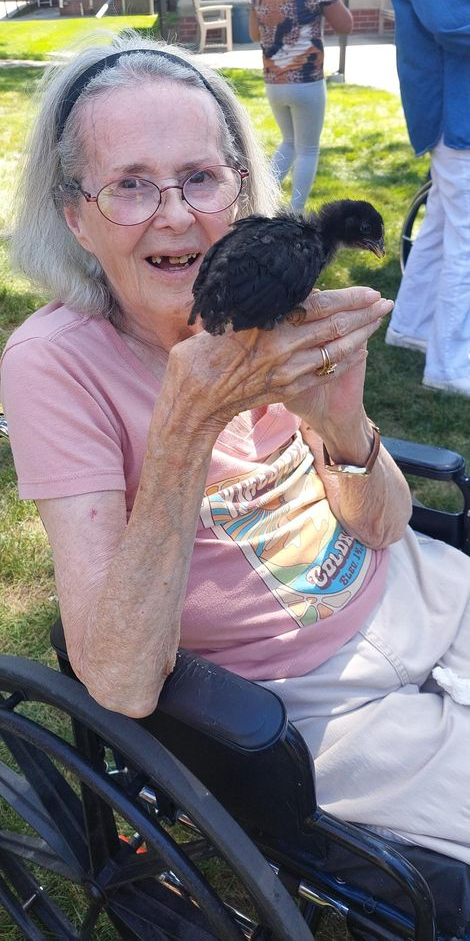 A person in a wheelchair smiling while holding a small black chick outdoors.