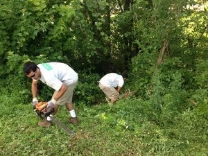 Two men are cutting grass with a chainsaw in a field.