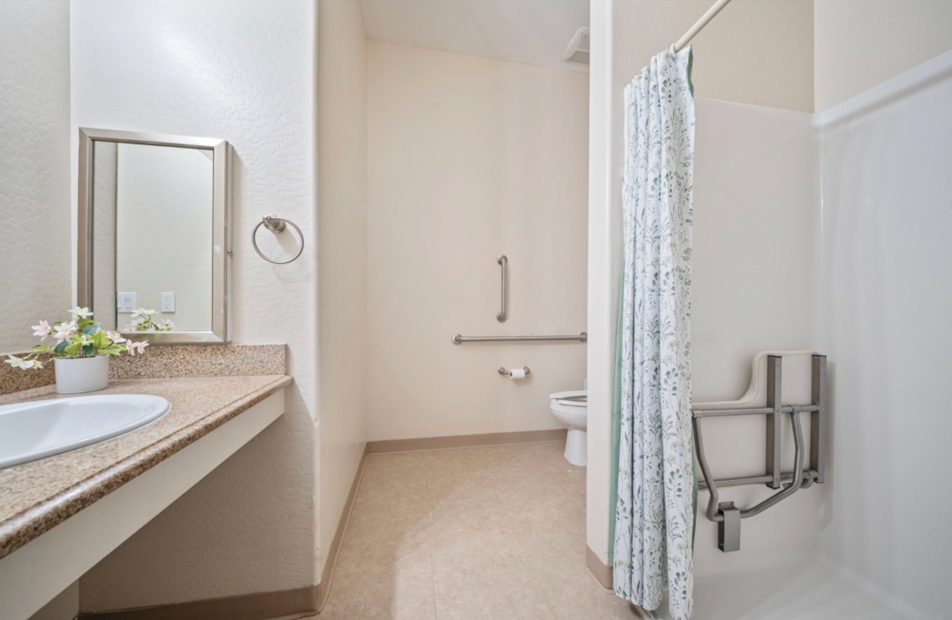 Accessible bathroom with roll-in shower, grab bars, toilet, and vanity sink