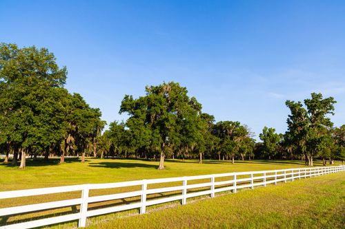 Sunny park with green trees, grassy field, and white fence under a clear blue sky