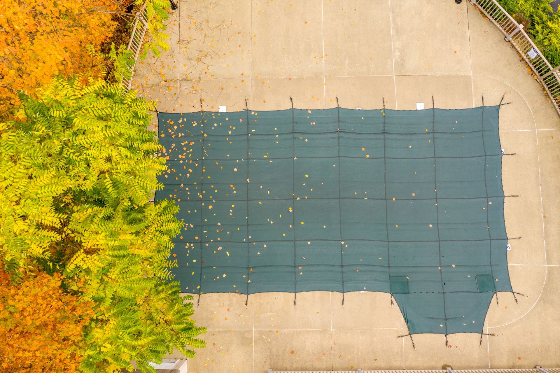 Pool Cover