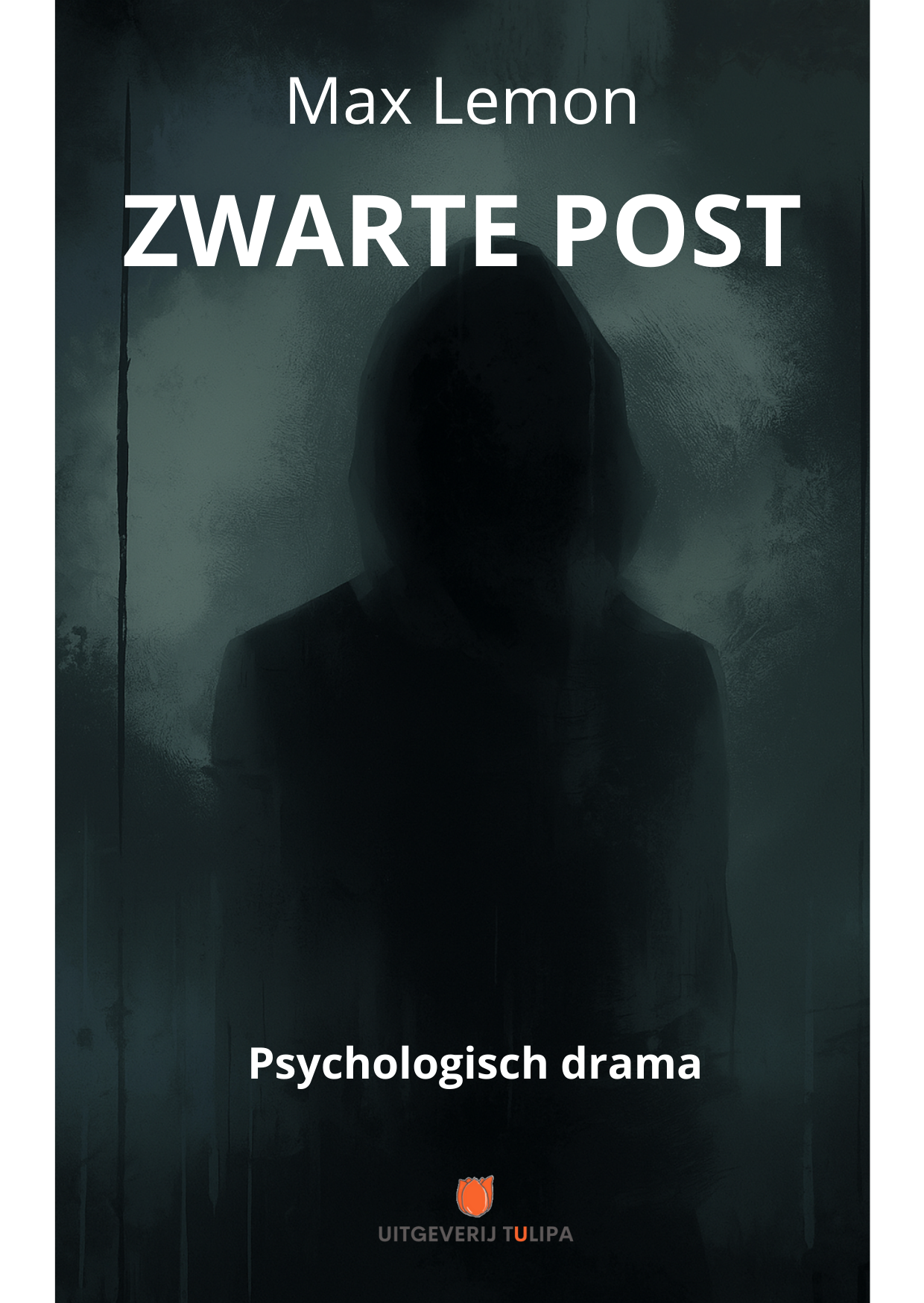 Boekcover met een donker silhouet op een rokerig grijze achtergrond, getiteld