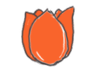 Illustratie van een oranje tulp met groene omlijning op een witte achtergrond.